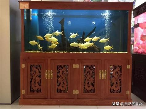 家裡魚缸 風水|風水魚缸位置建議